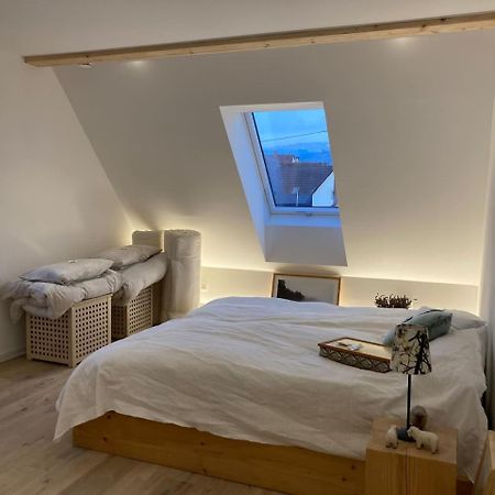 Neues Penthouse-Loft Mit Konuskarte Fuer Gratis Oepnv Appartement Ehrenkirchen Buitenkant foto