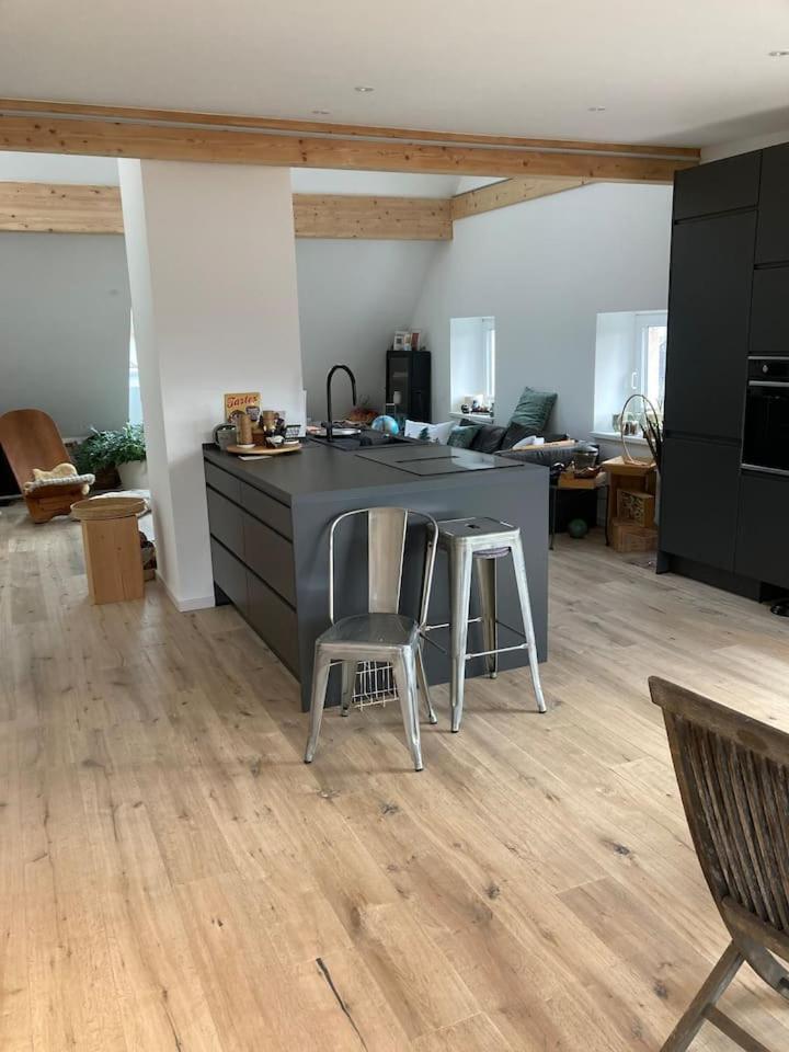 Neues Penthouse-Loft Mit Konuskarte Fuer Gratis Oepnv Appartement Ehrenkirchen Buitenkant foto
