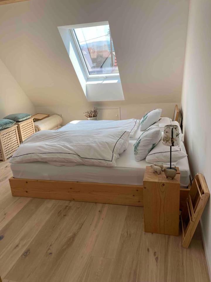 Neues Penthouse-Loft Mit Konuskarte Fuer Gratis Oepnv Appartement Ehrenkirchen Buitenkant foto