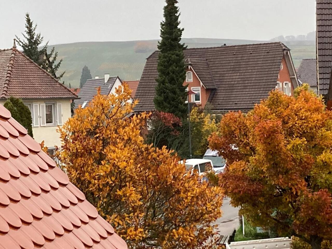 Neues Penthouse-Loft Mit Konuskarte Fuer Gratis Oepnv Appartement Ehrenkirchen Buitenkant foto